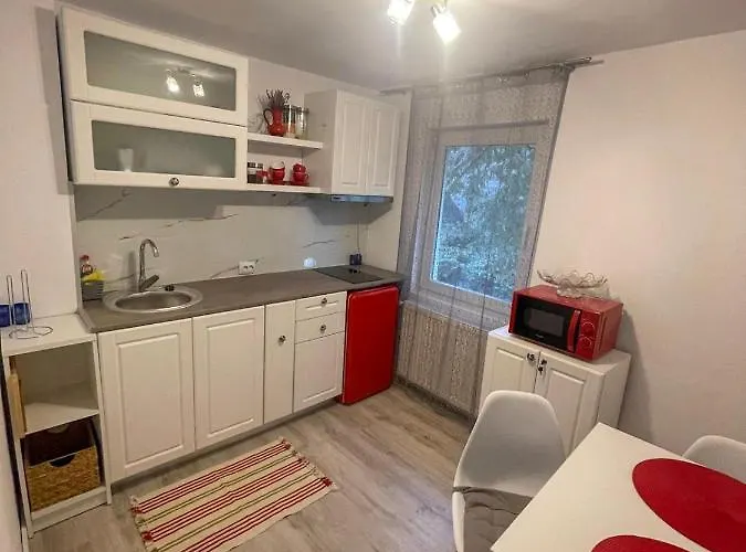 Buzz Клуж-Напока